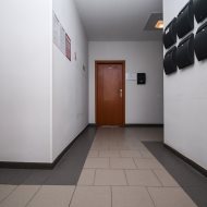 Lokal na wynajem